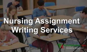 Best Nursing Homework Writing Experts