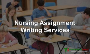 nursing homework writing services